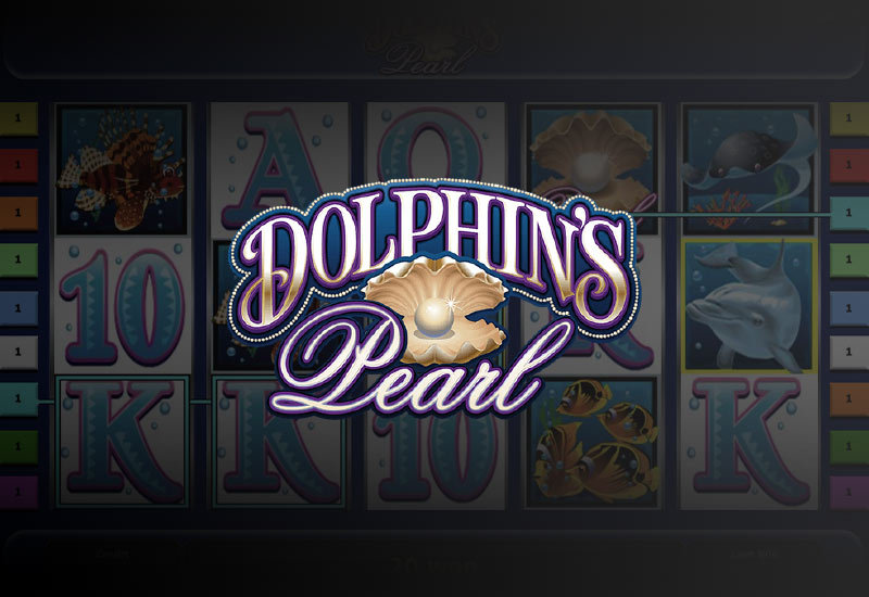 Dolphins Pearl online